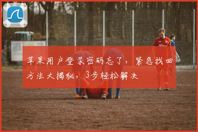 苹果用户登录密码忘了，紧急找回方法大揭秘，3步轻松解决
