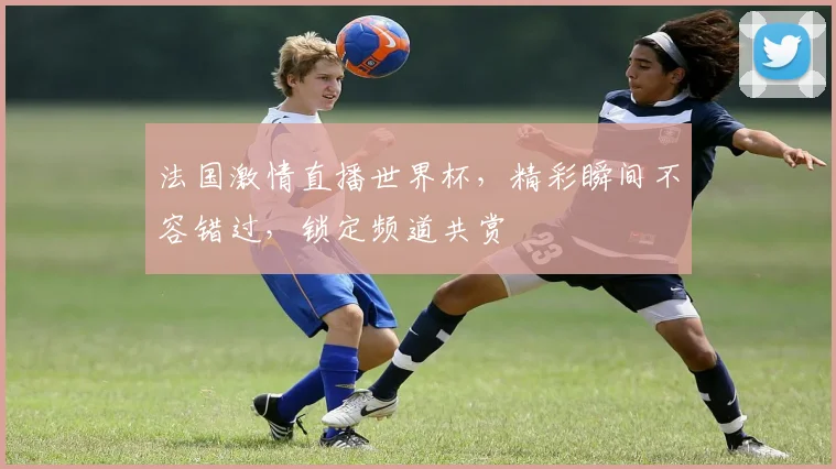 法国激情直播世界杯，精彩瞬间不容错过，锁定频道共赏