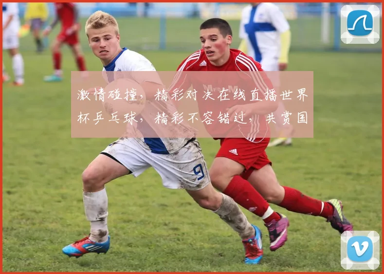激情碰撞，精彩对决在线直播世界杯乒乓球，精彩不容错过，共赏国球盛宴